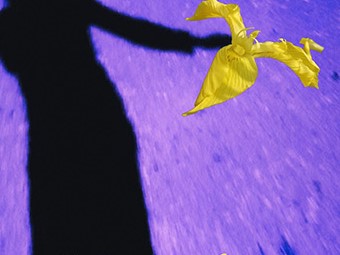 agenda/Un-Soir-Iris-Calame_JBQTBKX.jpg